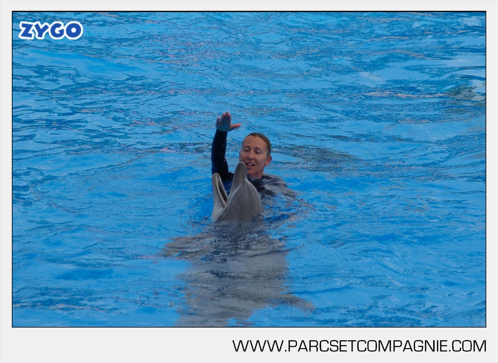 Marineland - Dauphins - Spectacle - 17h45 - 3785