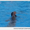 Marineland - Dauphins - Spectacle - 17h45 - 3786