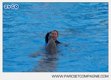 Marineland - Dauphins - Spectacle - 17h45 - 3786