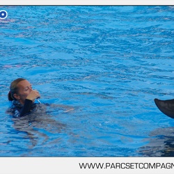 Marineland - Dauphins - Spectacle - 17h45