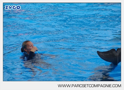 Marineland - Dauphins - Spectacle - 17h45 - 3787