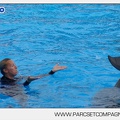 Marineland - Dauphins - Spectacle - 17h45 - 3788