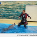 Marineland - Dauphins - Spectacle - 17h45 - 3789