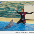 Marineland - Dauphins - Spectacle - 17h45 - 3790