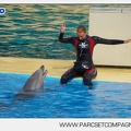 Marineland - Dauphins - Spectacle - 17h45 - 3791