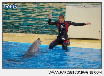 Marineland - Dauphins - Spectacle - 17h45 - 3791
