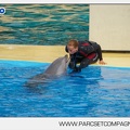 Marineland - Dauphins - Spectacle - 17h45 - 3792