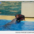 Marineland - Dauphins - Spectacle - 17h45 - 3793