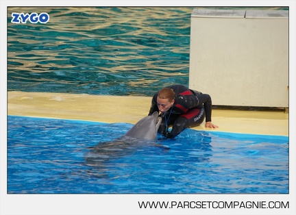 Marineland - Dauphins - Spectacle - 17h45 - 3794