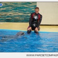 Marineland - Dauphins - Spectacle - 17h45 - 3796