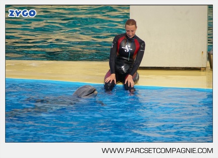 Marineland - Dauphins - Spectacle - 17h45 - 3796