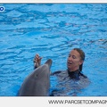 Marineland - Dauphins - Spectacle - 17h45 - 3797