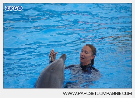 Marineland - Dauphins - Spectacle - 17h45 - 3797