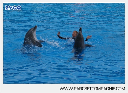 Marineland - Dauphins - Spectacle - 17h45 - 3798