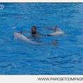 Marineland - Dauphins - Spectacle - 17h45 - 3800