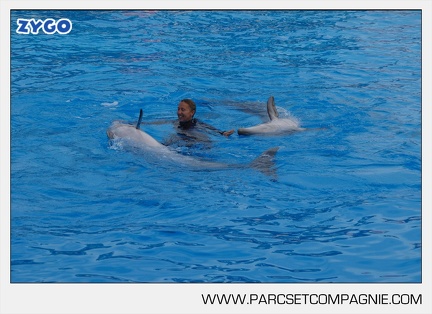 Marineland - Dauphins - Spectacle - 17h45 - 3800