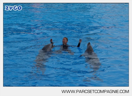 Marineland - Dauphins - Spectacle - 17h45 - 3801