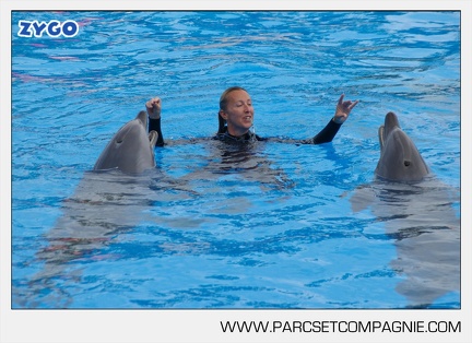Marineland - Dauphins - Spectacle - 17h45 - 3802