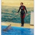 Marineland - Dauphins - Spectacle - 17h45 - 3804