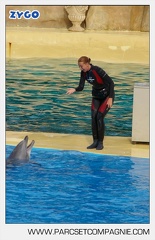 Marineland - Dauphins - Spectacle - 17h45 - 3805