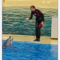 Marineland - Dauphins - Spectacle - 17h45 - 3805