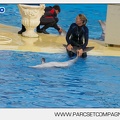 Marineland - Dauphins - Spectacle - 17h45 - 3806
