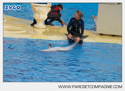 Marineland - Dauphins - Spectacle - 17h45 - 3806