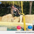 Marineland - Dauphins - Spectacle - 17h45 - 3809