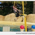 Marineland - Dauphins - Spectacle - 17h45 - 3810