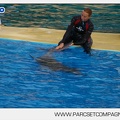 Marineland - Dauphins - Spectacle - 17h45 - 3812