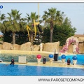 Marineland - Dauphins - Spectacle - 17h45 - 3814