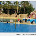 Marineland - Dauphins - Spectacle - 17h45 - 3815