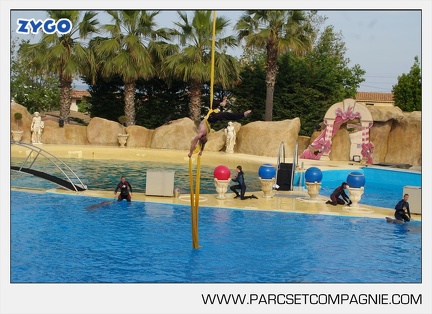 Marineland - Dauphins - Spectacle - 17h45 - 3815