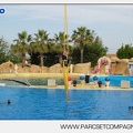 Marineland - Dauphins - Spectacle - 17h45 - 3816