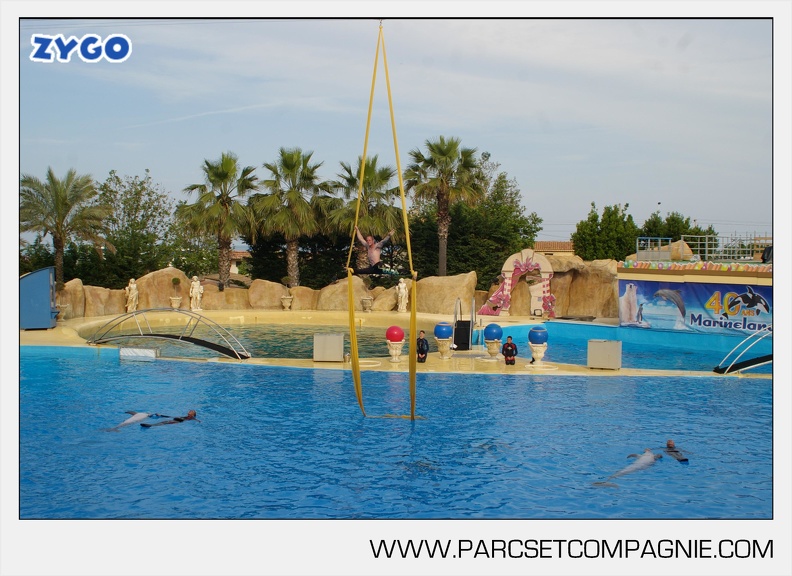 Marineland - Dauphins - Spectacle - 17h45 - 3817