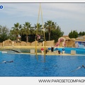Marineland - Dauphins - Spectacle - 17h45 - 3817