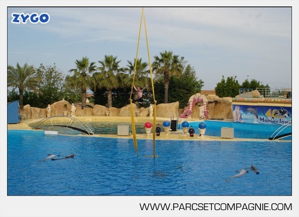 Marineland - Dauphins - Spectacle - 17h45 - 3818