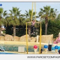 Marineland - Dauphins - Spectacle - 17h45 - 3821