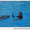 Marineland - Dauphins - Spectacle - 17h45 - 3825