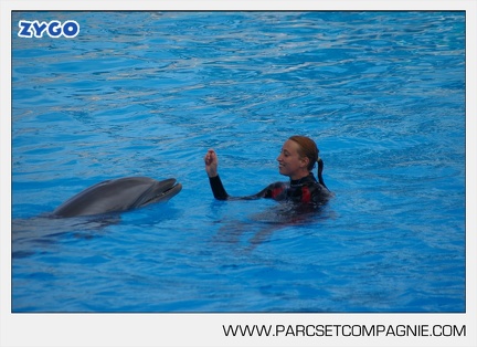 Marineland - Dauphins - Spectacle - 17h45 - 3825