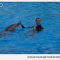 Marineland - Dauphins - Spectacle - 17h45 - 3826