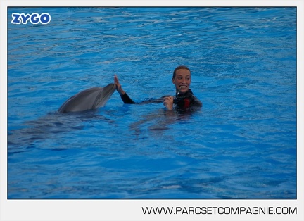 Marineland - Dauphins - Spectacle - 17h45 - 3826