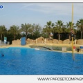Marineland - Dauphins - Spectacle - 17h45 - 3827