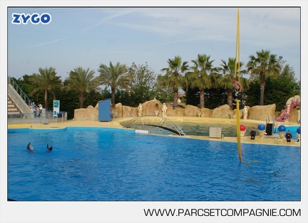 Marineland - Dauphins - Spectacle - 17h45 - 3827