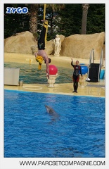 Marineland - Dauphins - Spectacle - 17h45 - 3828