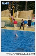 Marineland - Dauphins - Spectacle - 17h45 - 3829