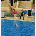 Marineland - Dauphins - Spectacle - 17h45 - 3829