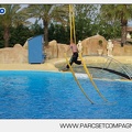 Marineland - Dauphins - Spectacle - 17h45 - 3830