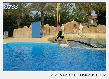 Marineland - Dauphins - Spectacle - 17h45 - 3830