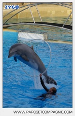 Marineland - Dauphins - Spectacle - 17h45 - 3832